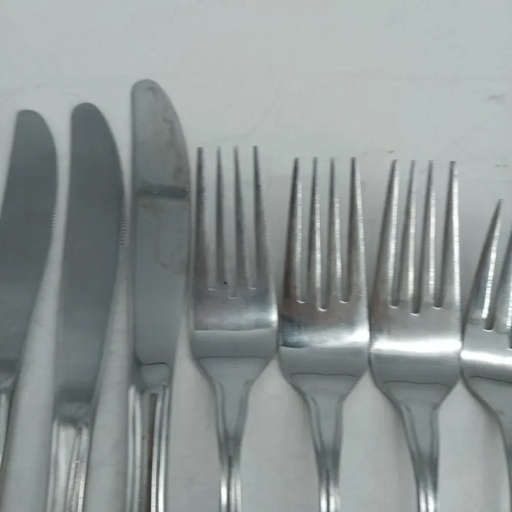 10X Fks Bk Washington Forge SPRING MEADOW Stainless Flatware Table Forks Knives